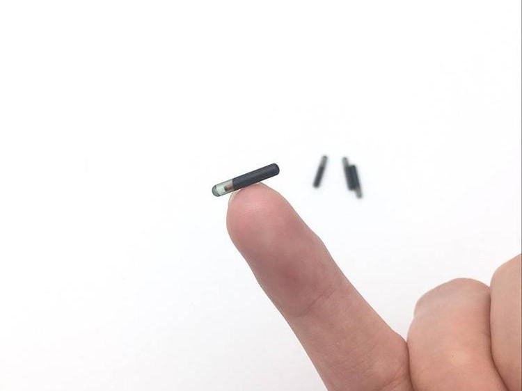 RFID植入式標簽