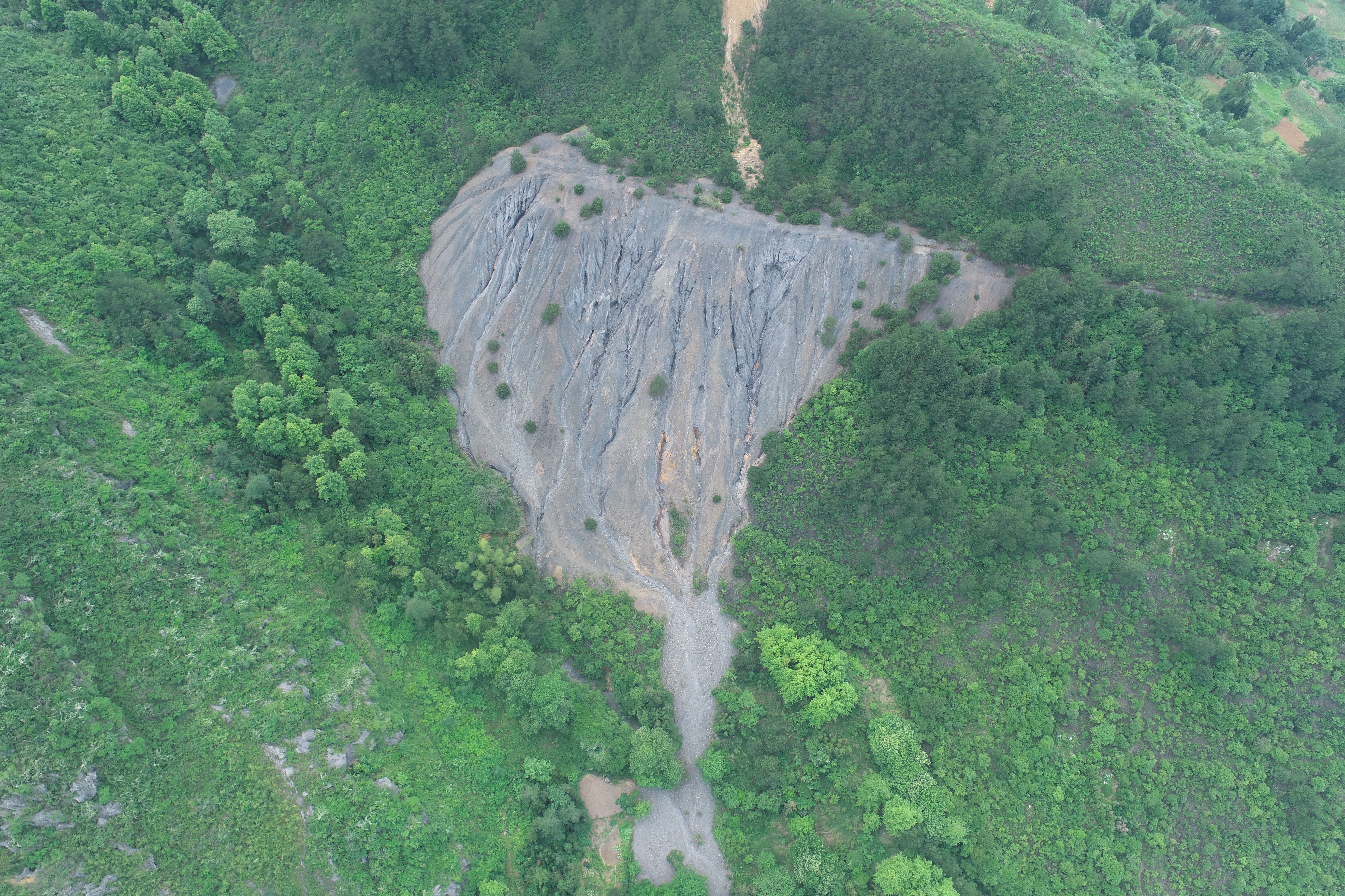 圖片關(guān)鍵詞