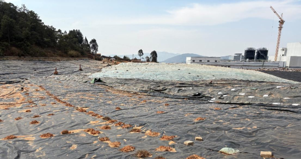 圖片關(guān)鍵詞