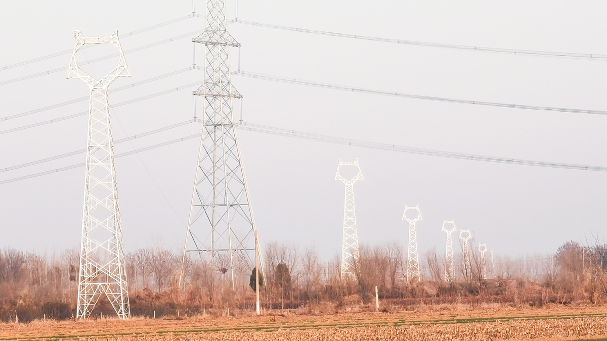威縣澤恩蔬菜種植有限公司雨養(yǎng)型節(jié)水高效蔬菜大棚88MW農(nóng)光互補發(fā)電項目外送線路及對側(cè)間隔EPC