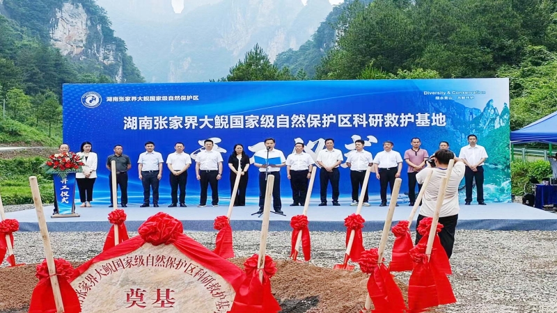 仲夏當(dāng)“燃”！中機(jī)國際兩代建項目開工建設(shè)