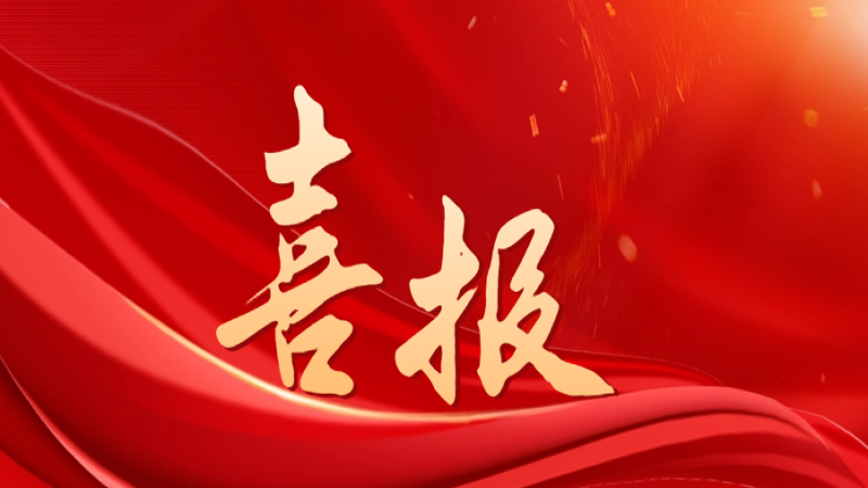 喜報(bào)！中機(jī)國際獲評中央企業(yè)“雙百行動”優(yōu)秀企業(yè)