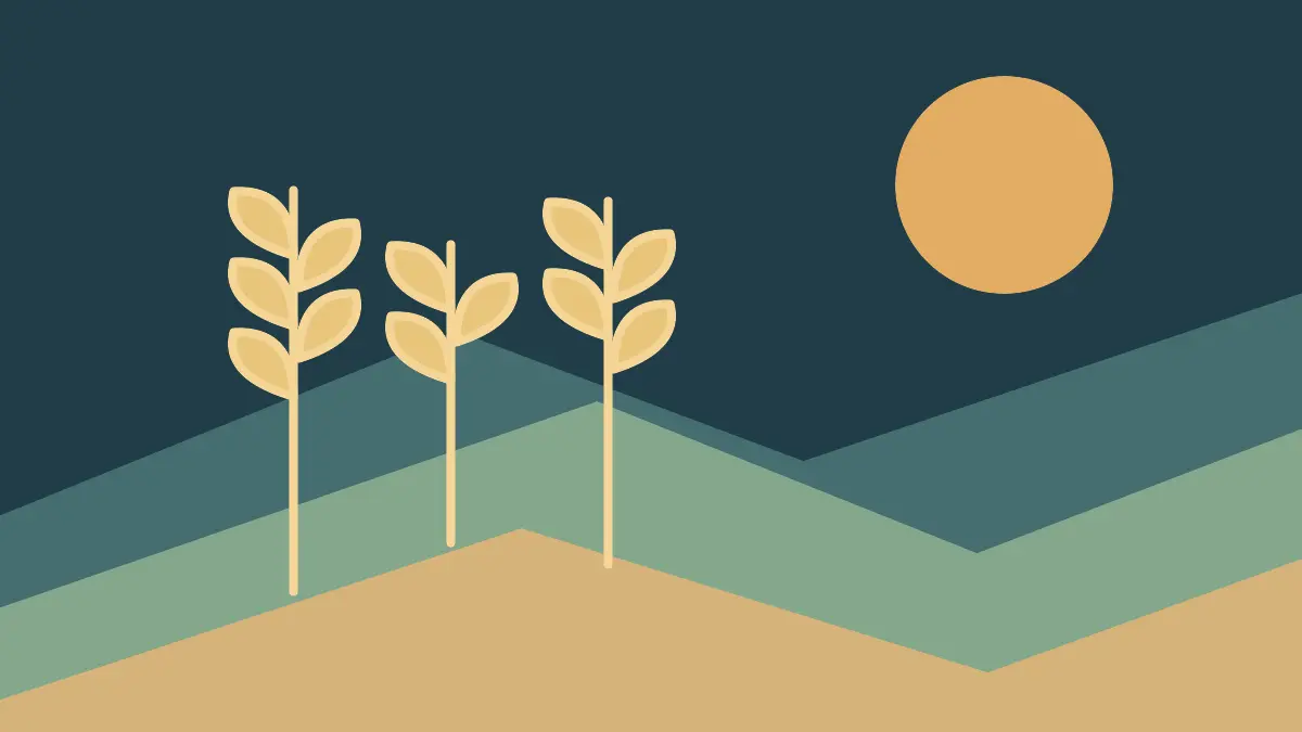 Grain and changing field conditions